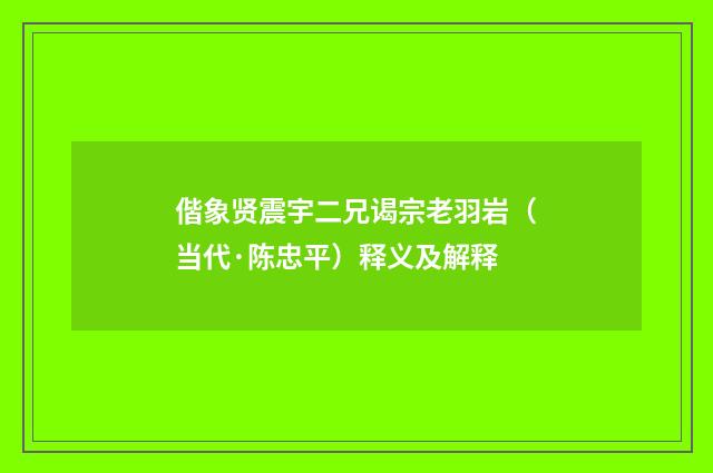 偕象贤震宇二兄谒宗老羽岩（当代·陈忠平）释义及解释