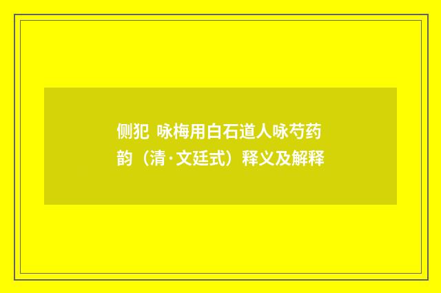 侧犯 咏梅用白石道人咏芍药韵（清·文廷式）释义及解释