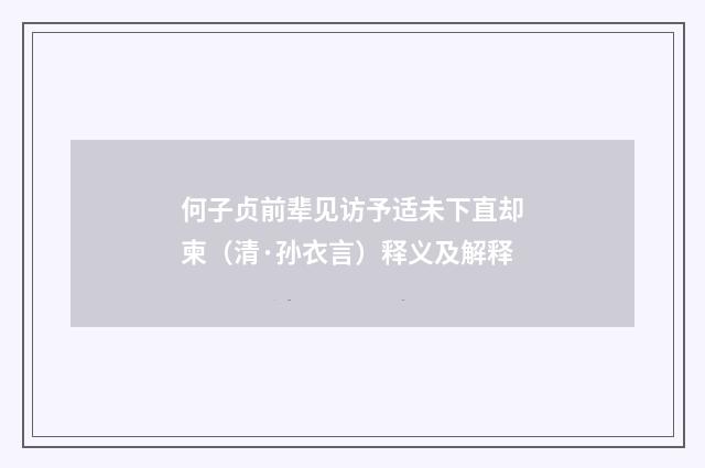何子贞前辈见访予适未下直却柬（清·孙衣言）释义及解释