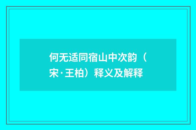 何无适同宿山中次韵（宋·王柏）释义及解释