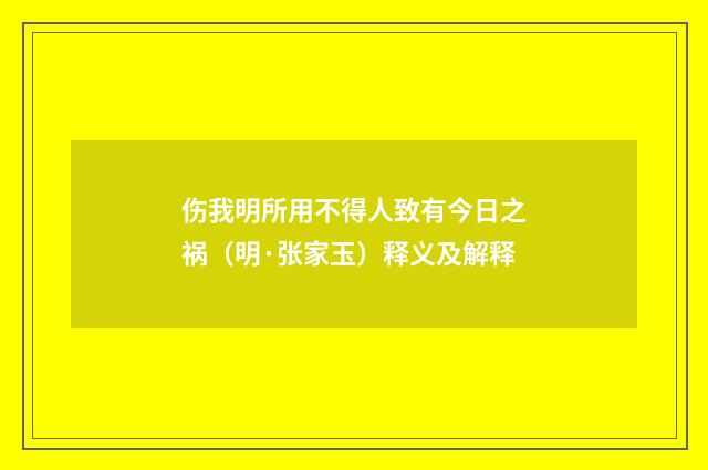 伤我明所用不得人致有今日之祸（明·张家玉）释义及解释
