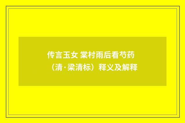 传言玉女 棠村雨后看芍药（清·梁清标）释义及解释