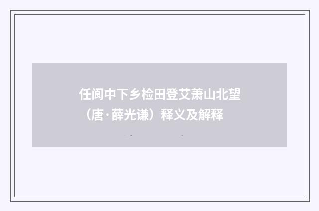 任阆中下乡检田登艾萧山北望（唐·薛光谦）释义及解释
