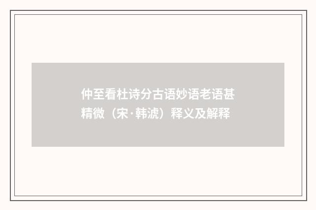 仲至看杜诗分古语妙语老语甚精微（宋·韩淲）释义及解释