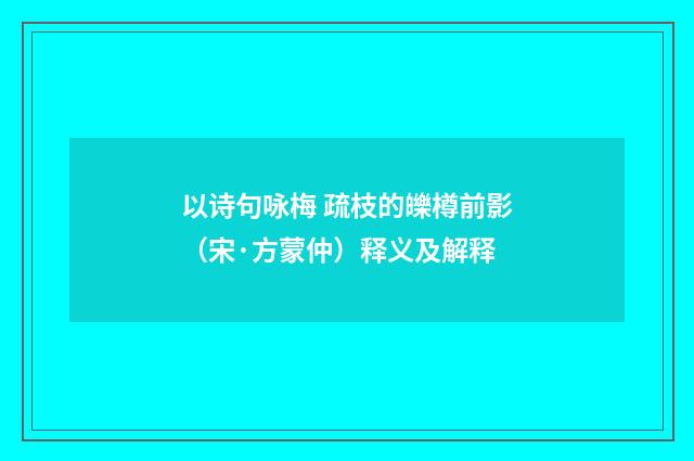 以诗句咏梅 疏枝的皪樽前影（宋·方蒙仲）释义及解释
