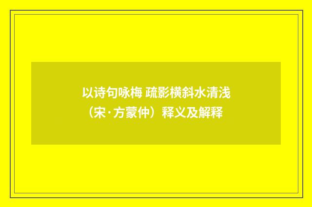 以诗句咏梅 疏影横斜水清浅（宋·方蒙仲）释义及解释