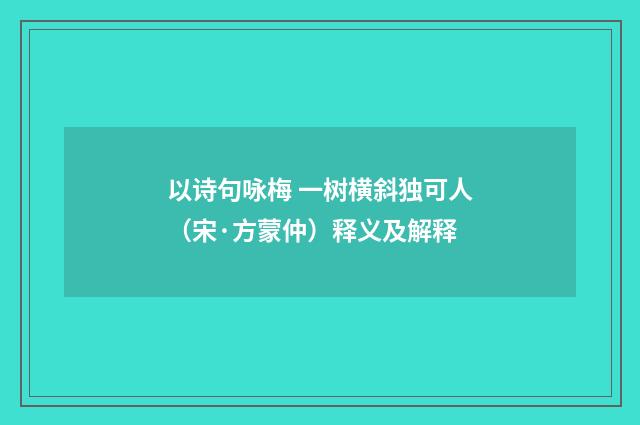 以诗句咏梅 一树横斜独可人（宋·方蒙仲）释义及解释
