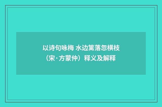 以诗句咏梅 水边篱落忽横枝（宋·方蒙仲）释义及解释