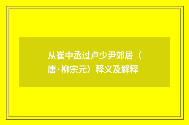 从崔中丞过卢少尹郊居（唐·柳宗元）释义及解释