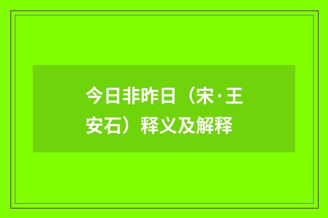 今日非昨日（宋·王安石）释义及解释