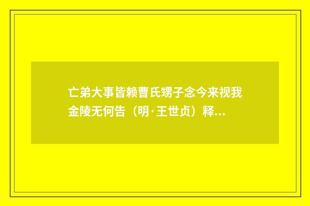 亡弟大事皆赖曹氏甥子念今来视我金陵无何告（明·王世贞）释义及解释