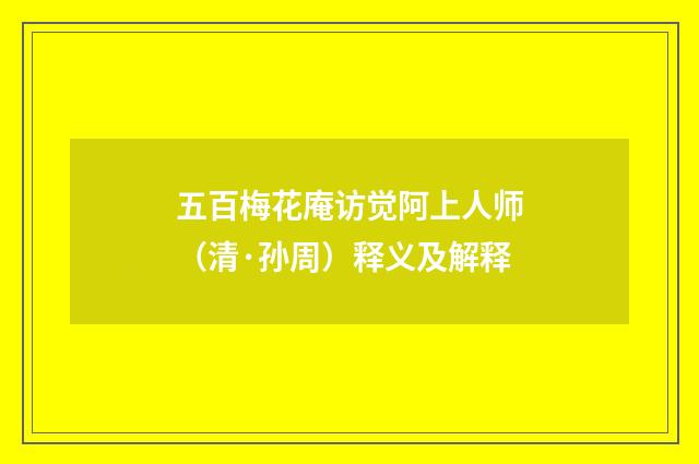 五百梅花庵访觉阿上人师（清·孙周）释义及解释
