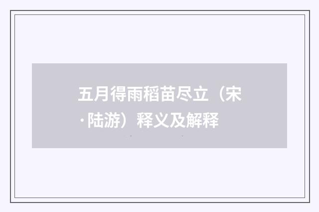五月得雨稻苗尽立（宋·陆游）释义及解释