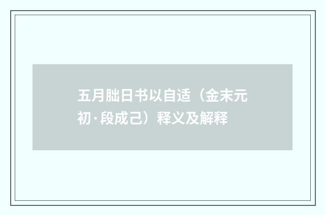 五月朏日书以自适（金末元初·段成己）释义及解释