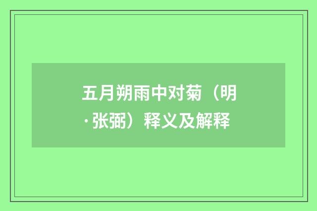 五月朔雨中对菊（明·张弼）释义及解释