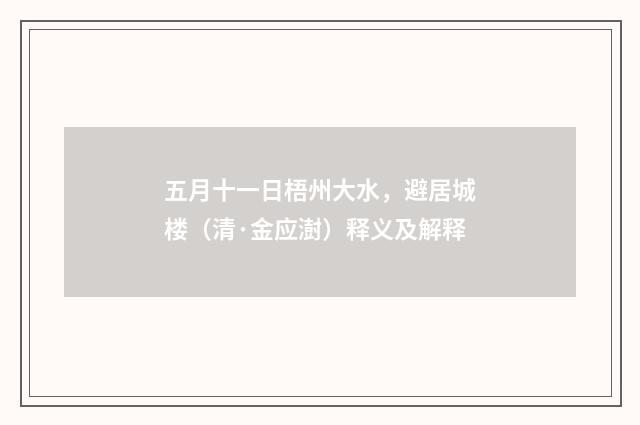 五月十一日梧州大水，避居城楼（清·金应澍）释义及解释