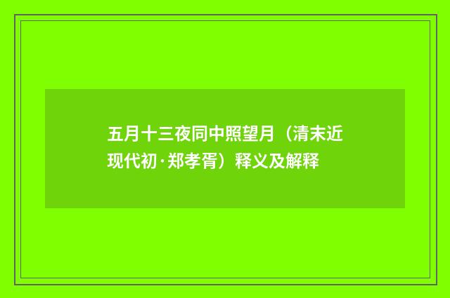 五月十三夜同中照望月（清末近现代初·郑孝胥）释义及解释