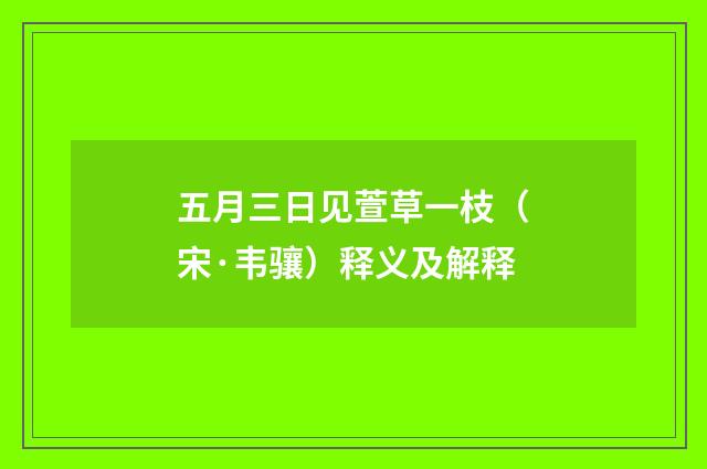 五月三日见萱草一枝（宋·韦骧）释义及解释