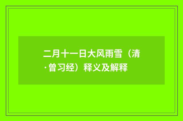 二月十一日大风雨雪（清·曾习经）释义及解释