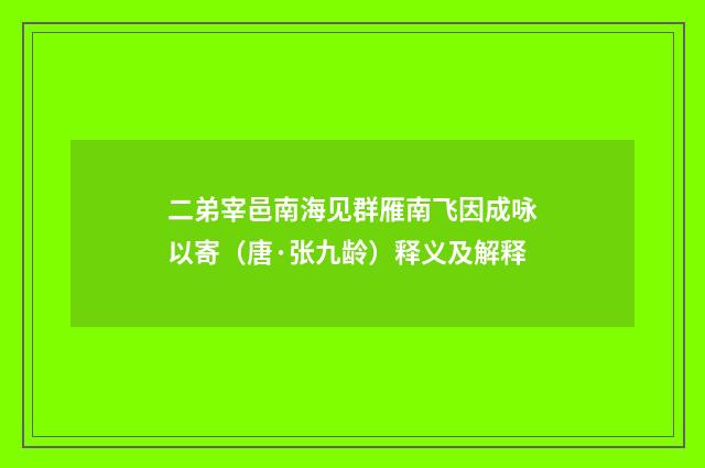 二弟宰邑南海见群雁南飞因成咏以寄（唐·张九龄）释义及解释