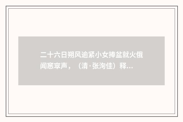 二十六日朔风逾紧小女捧盆就火俄闻窸窣声，（清·张洵佳）释义及解释