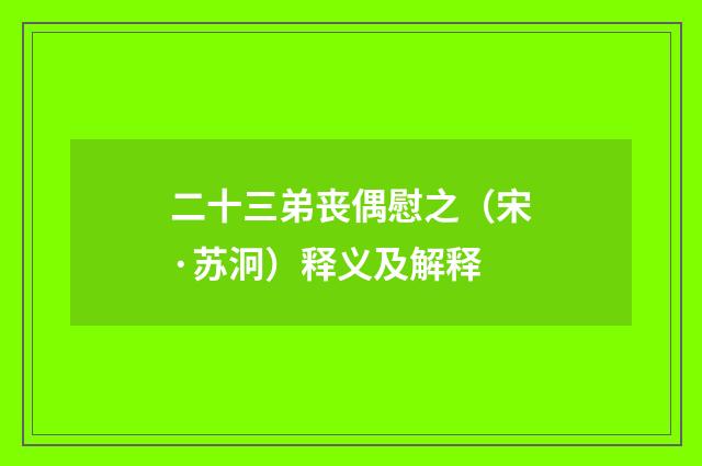二十三弟丧偶慰之（宋·苏泂）释义及解释