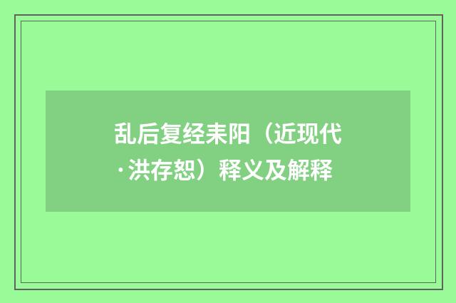 乱后复经耒阳（近现代·洪存恕）释义及解释