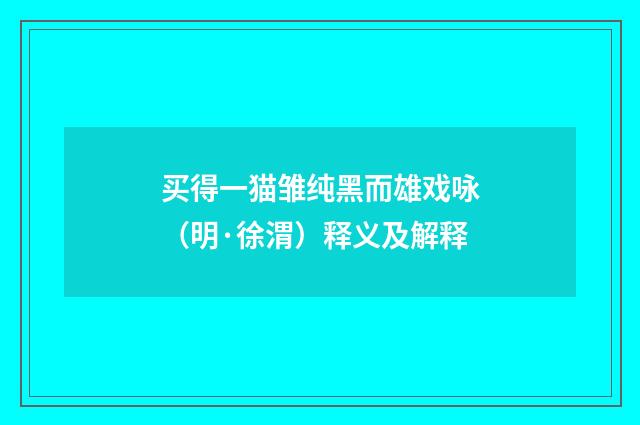 买得一猫雏纯黑而雄戏咏（明·徐渭）释义及解释