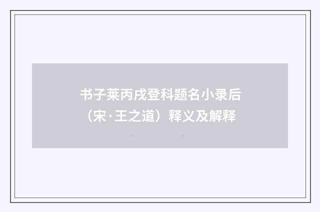 书子莱丙戌登科题名小录后（宋·王之道）释义及解释
