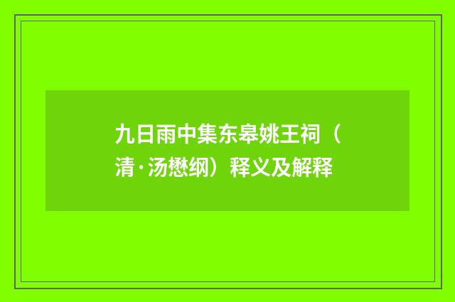 九日雨中集东皋姚王祠（清·汤懋纲）释义及解释