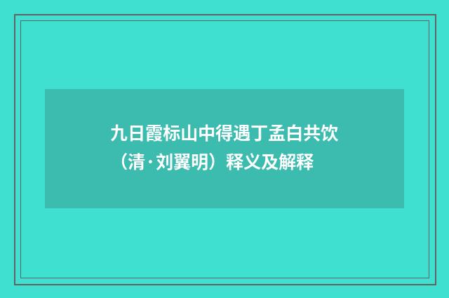 九日霞标山中得遇丁孟白共饮（清·刘翼明）释义及解释