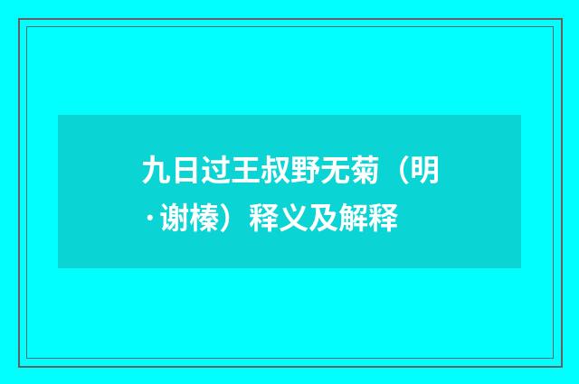 九日过王叔野无菊（明·谢榛）释义及解释