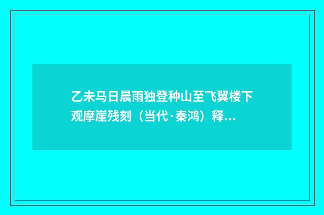 乙未马日晨雨独登种山至飞翼楼下观摩崖残刻（当代·秦鸿）释义及解释