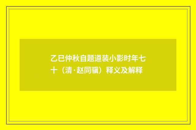 乙巳仲秋自题道装小影时年七十（清·赵同骥）释义及解释