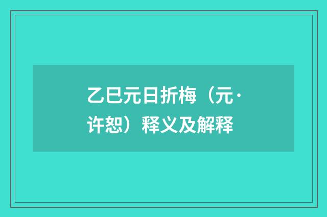 乙巳元日折梅（元·许恕）释义及解释