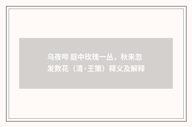 乌夜啼 庭中玫瑰一丛，秋来忽发数花（清·王策）释义及解释
