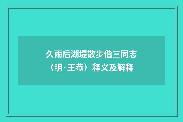 久雨后湖堤散步偕三同志（明·王恭）释义及解释