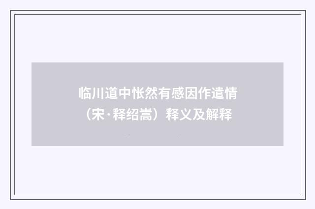 临川道中怅然有感因作遣情（宋·释绍嵩）释义及解释