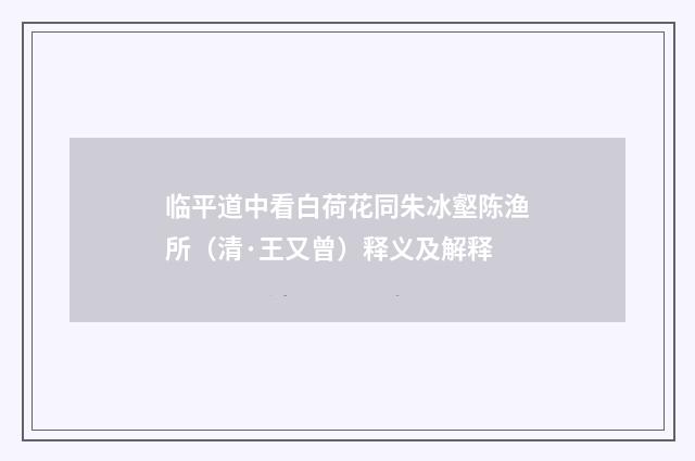 临平道中看白荷花同朱冰壑陈渔所（清·王又曾）释义及解释