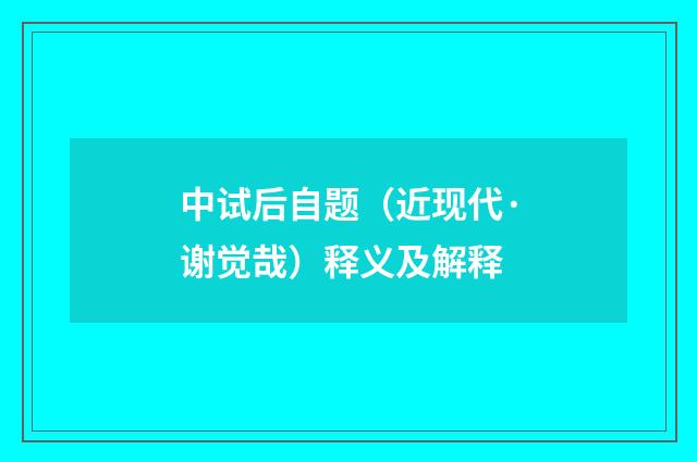 中试后自题（近现代·谢觉哉）释义及解释