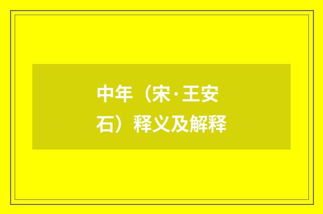 中年（宋·王安石）释义及解释