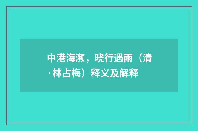中港海濒，晓行遇雨（清·林占梅）释义及解释