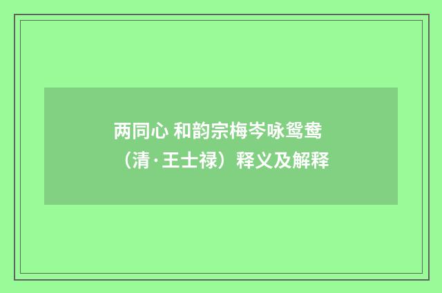 两同心 和韵宗梅岑咏鸳鸯（清·王士禄）释义及解释