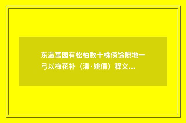 东瀛寓园有松柏数十株傍馀隙地一弓以梅花补（清·姚倩）释义及解释