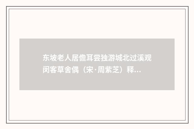 东坡老人居儋耳尝独游城北过溪观闵客草舍偶（宋·周紫芝）释义及解释