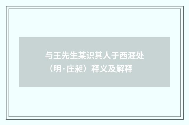 与王先生某识其人于西涯处（明·庄昶）释义及解释