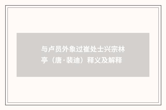 与卢员外象过崔处士兴宗林亭（唐·裴迪）释义及解释