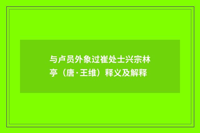 与卢员外象过崔处士兴宗林亭（唐·王维）释义及解释