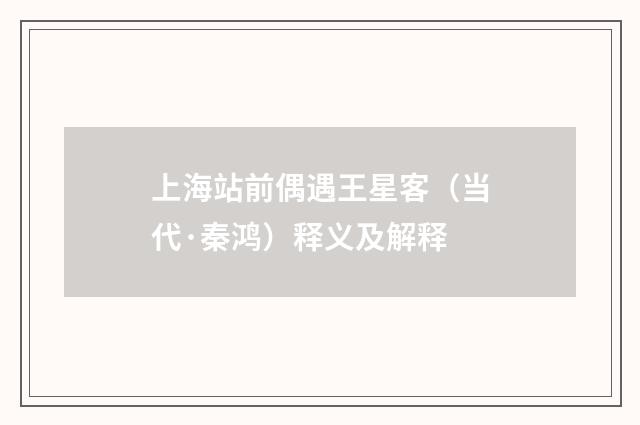 上海站前偶遇王星客（当代·秦鸿）释义及解释