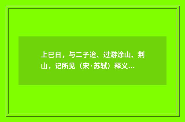 上巳日，与二子迨、过游涂山、荆山，记所见（宋·苏轼）释义及解释